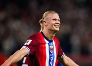 哈兰德遭遇二十连败，独行侠教练面临压力！的简单介绍