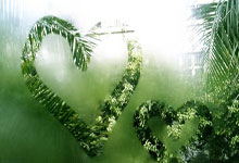  费城76人比赛直播 