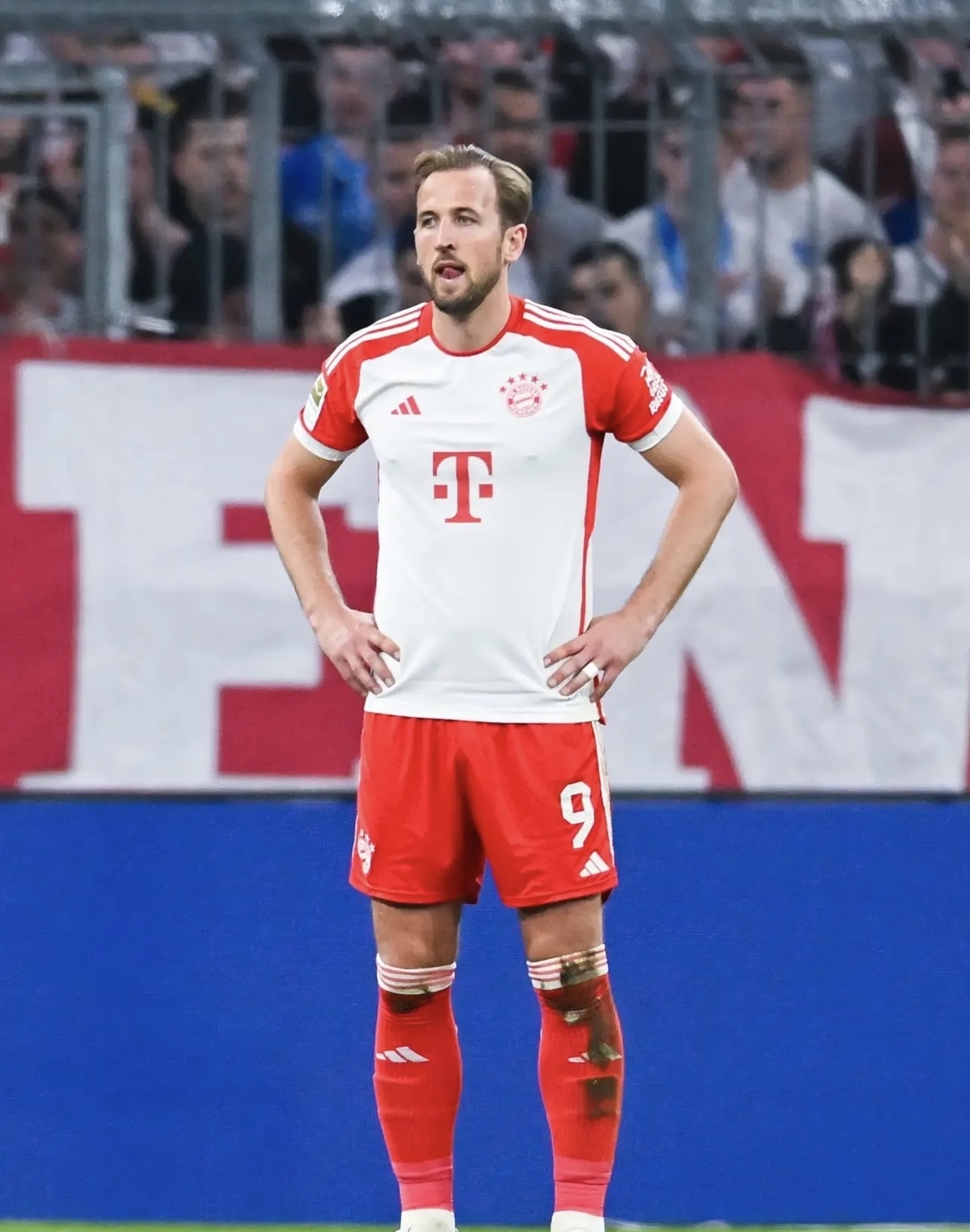 阿森纳观众热烈欢呼!,凯恩迎来十赛季出色发挥再创辉煌时刻  阿森纳观众热烈欢呼!,凯恩迎来十赛季出色发挥再创辉煌时刻