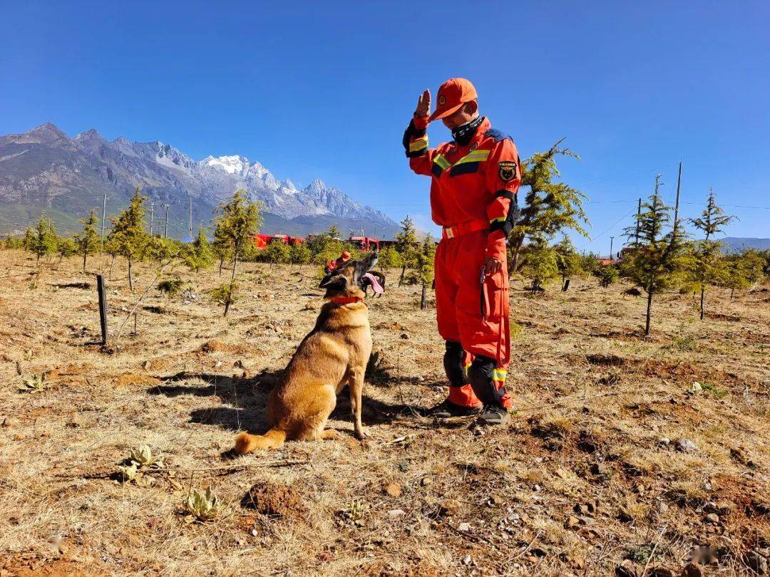 关于埃因霍温内部会议纪要流出——转会期战术微调，意大利杯使命明确，训练强度明显提升的信息