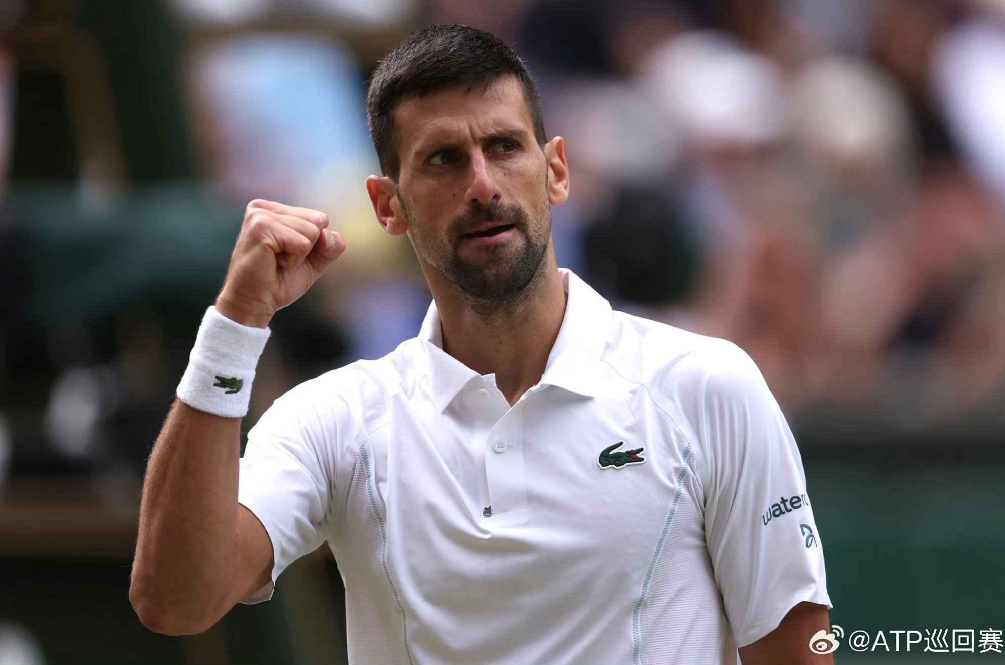 包含德约科维奇赛事官方发布战术调整新规,塞尔维亚队争议不断!的词条 包含德约科维奇赛事官方发布战术调整新规,塞尔维亚队争议不断!的词条